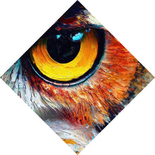 Lade das Bild in den Galerie-Viewer, Acrylglasbild Faszinierendes buntes Eulen Porträt Raute

