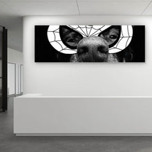 Lade das Bild in den Galerie-Viewer, Acrylglasbild Frecher Hund mit Spiderman Maske Panorama
