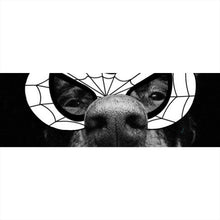 Lade das Bild in den Galerie-Viewer, Aluminiumbild gebürstet Frecher Hund mit Spiderman Maske Panorama
