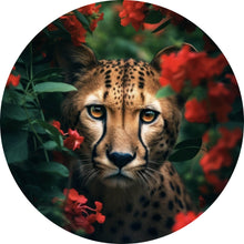 Lade das Bild in den Galerie-Viewer, Aluminiumbild Gepard schaut neugierig durch rote Blumen Kreis
