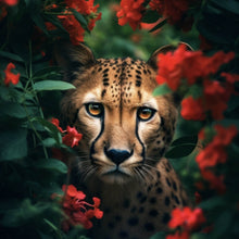 Lade das Bild in den Galerie-Viewer, Acrylglasbild Gepard schaut neugierig durch rote Blumen Quadrat

