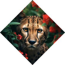 Lade das Bild in den Galerie-Viewer, Acrylglasbild Gepard schaut neugierig durch rote Blumen Raute
