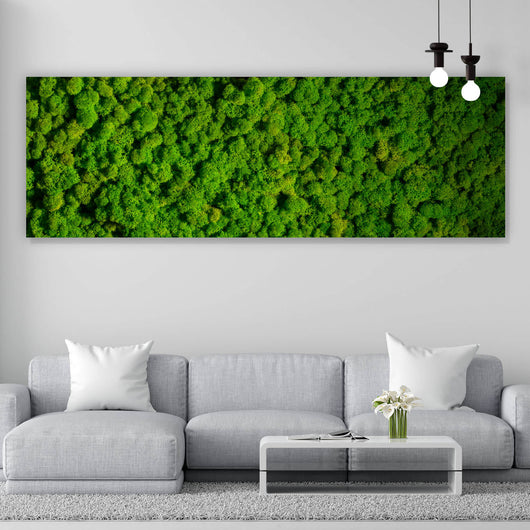 Acrylglasbild Hellgrünes Moos Panorama