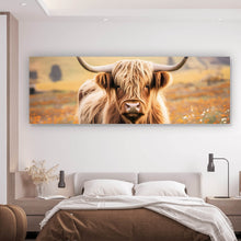 Lade das Bild in den Galerie-Viewer, Acrylglasbild Highland Rind auf der Weide Panorama
