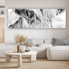 Lade das Bild in den Galerie-Viewer, Aluminiumbild gebürstet Highland Rind Panorama
