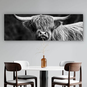 Aluminiumbild Highland Rind Schwarz-Weiß Panorama