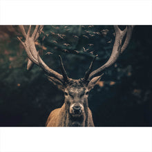 Lade das Bild in den Galerie-Viewer, Aluminiumbild Hirsch am düsteren Waldrand Querformat
