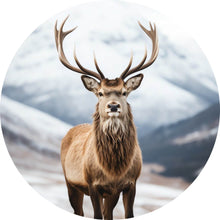 Lade das Bild in den Galerie-Viewer, Aluminiumbild gebürstet Hirsch vor schneebedeckten Berglandschaft Kreis
