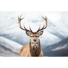 Lade das Bild in den Galerie-Viewer, Aluminiumbild Hirsch vor schneebedeckten Berglandschaft Querformat
