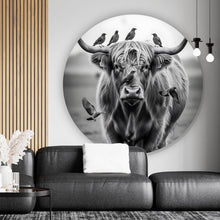 Lade das Bild in den Galerie-Viewer, Aluminiumbild Hochlandrind mit Vögeln und Fuchs Kreis
