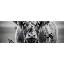 Lade das Bild in den Galerie-Viewer, Aluminiumbild gebürstet Hochlandrind mit Vögeln und Fuchs Panorama

