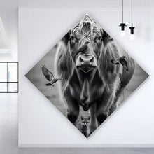 Lade das Bild in den Galerie-Viewer, Poster Hochlandrind mit Vögeln und Fuchs Raute
