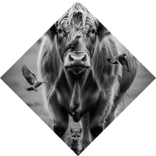 Lade das Bild in den Galerie-Viewer, Poster Hochlandrind mit Vögeln und Fuchs Raute
