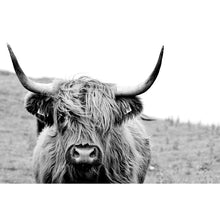 Lade das Bild in den Galerie-Viewer, Leinwandbild Hochlandrind Schwarz Weiß Querformat
