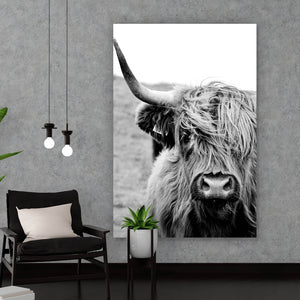Leinwandbild Hochlandrind Schwarz Weiß Hochformat