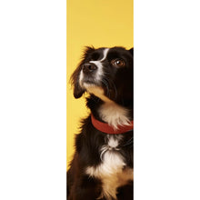 Lade das Bild in den Galerie-Viewer, Acrylglasbild Hund und Katze vor gelbem Hintergrund Panorama Hoch
