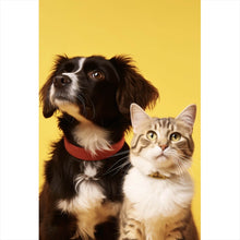 Lade das Bild in den Galerie-Viewer, Acrylglasbild Hund und Katze vor gelbem Hintergrund Hochformat
