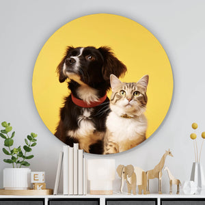 Aluminiumbild gebürstet Hund und Katze vor gelbem Hintergrund Kreis