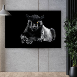 Leinwandbild Jaguar auf schwarzem Hintergrund Querformat