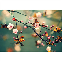 Lade das Bild in den Galerie-Viewer, Spannrahmenbild Kirschblüten am Ast Querformat
