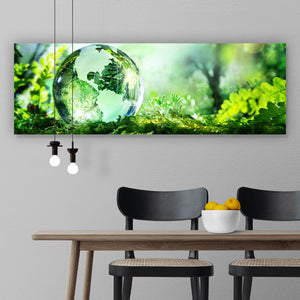 Leinwandbild Kristallkugel auf Moos Panorama