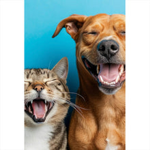 Lade das Bild in den Galerie-Viewer, Spannrahmenbild Lachende Tiere vor blauen Hintergrund Hochformat
