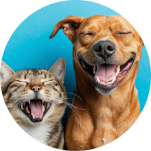 Lade das Bild in den Galerie-Viewer, Aluminiumbild gebürstet Lachende Tiere vor blauen Hintergrund Kreis
