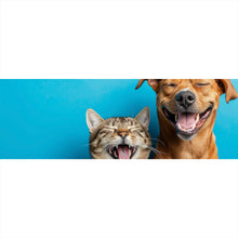 Lade das Bild in den Galerie-Viewer, Aluminiumbild Lachende Tiere vor blauen Hintergrund Panorama
