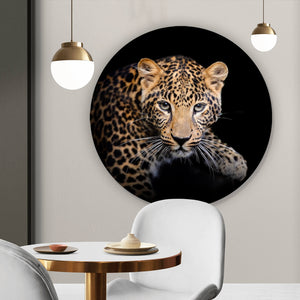 Aluminiumbild gebürstet Leopard auf schwarzem Hintergrund Kreis