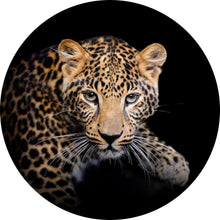 Lade das Bild in den Galerie-Viewer, Aluminiumbild gebürstet Leopard auf schwarzem Hintergrund Kreis
