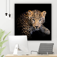 Lade das Bild in den Galerie-Viewer, Aluminiumbild gebürstet Leopard auf schwarzem Hintergrund Quadrat
