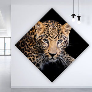 Poster Leopard auf schwarzem Hintergrund Raute