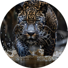 Lade das Bild in den Galerie-Viewer, Aluminiumbild gebürstet Mächtiger Jaguar im Wasser Kreis
