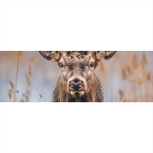Lade das Bild in den Galerie-Viewer, Spannrahmenbild Majestätischer Hirsch in der Natur Panorama
