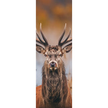 Lade das Bild in den Galerie-Viewer, Leinwandbild Majestätischer Hirsch in der Natur Panorama Hoch
