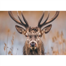 Lade das Bild in den Galerie-Viewer, Spannrahmenbild Majestätischer Hirsch in der Natur Querformat
