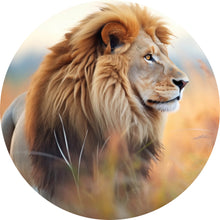 Lade das Bild in den Galerie-Viewer, Aluminiumbild gebürstet Majestätischer Löwe in natürlicher Umgebung Kreis
