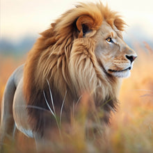 Lade das Bild in den Galerie-Viewer, Spannrahmenbild Majestätischer Löwe in natürlicher Umgebung Quadrat
