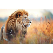 Lade das Bild in den Galerie-Viewer, Acrylglasbild Majestätischer Löwe in natürlicher Umgebung Querformat
