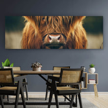 Lade das Bild in den Galerie-Viewer, Aluminiumbild Majestätisches Hochlandrind im Naturambiente Panorama
