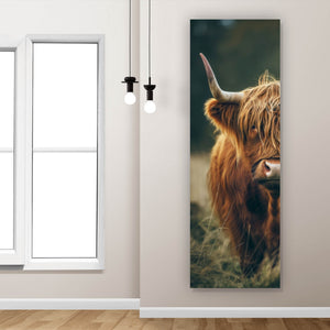 Acrylglasbild Majestätisches Hochlandrind im Naturambiente Panorama Hoch