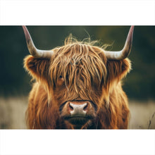 Lade das Bild in den Galerie-Viewer, Poster Majestätisches Hochlandrind im Naturambiente Querformat
