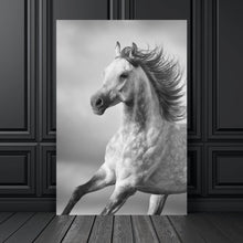 Lade das Bild in den Galerie-Viewer, Aluminiumbild Majestätisches Pferdeportrait in Bewegung Hochformat
