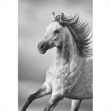 Lade das Bild in den Galerie-Viewer, Poster Majestätisches Pferdeportrait in Bewegung Hochformat
