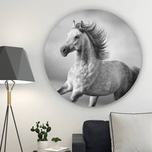 Lade das Bild in den Galerie-Viewer, Aluminiumbild gebürstet Majestätisches Pferdeportrait in Bewegung Kreis
