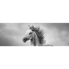 Lade das Bild in den Galerie-Viewer, Acrylglasbild Majestätisches Pferdeportrait in Bewegung Panorama
