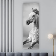 Lade das Bild in den Galerie-Viewer, Aluminiumbild gebürstet Majestätisches Pferdeportrait in Bewegung Panorama Hoch
