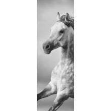 Lade das Bild in den Galerie-Viewer, Aluminiumbild gebürstet Majestätisches Pferdeportrait in Bewegung Panorama Hoch
