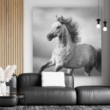Lade das Bild in den Galerie-Viewer, Poster Majestätisches Pferdeportrait in Bewegung Quadrat
