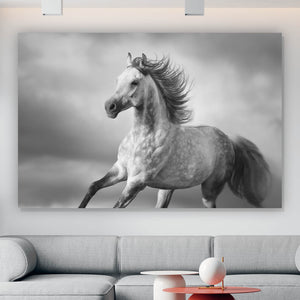 Aluminiumbild Majestätisches Pferdeportrait in Bewegung Querformat